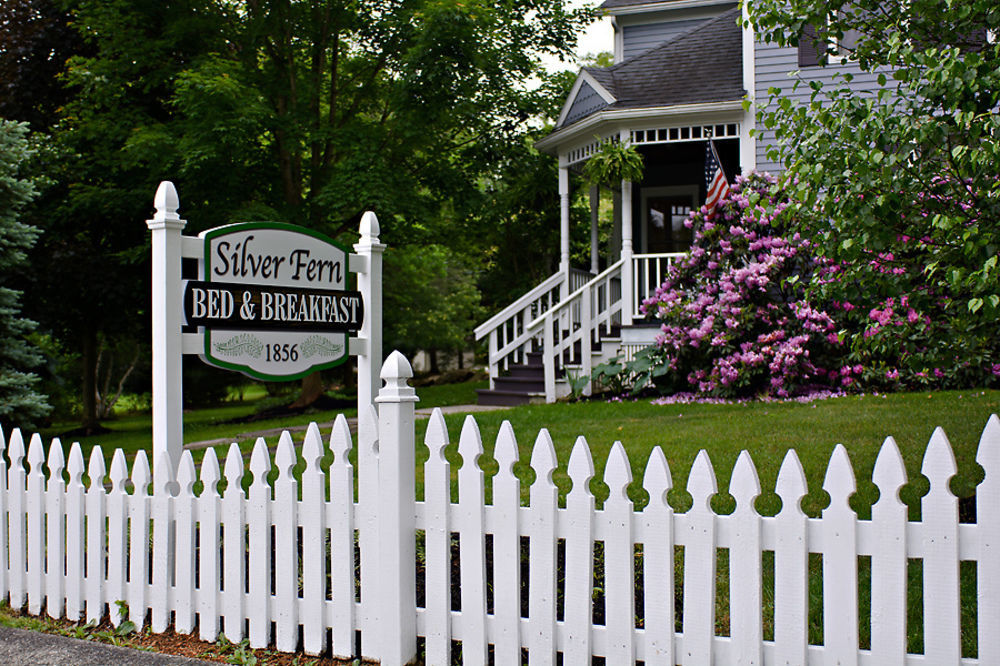 Silver Fern Bed And Breakfast Peninsula Exterior photo