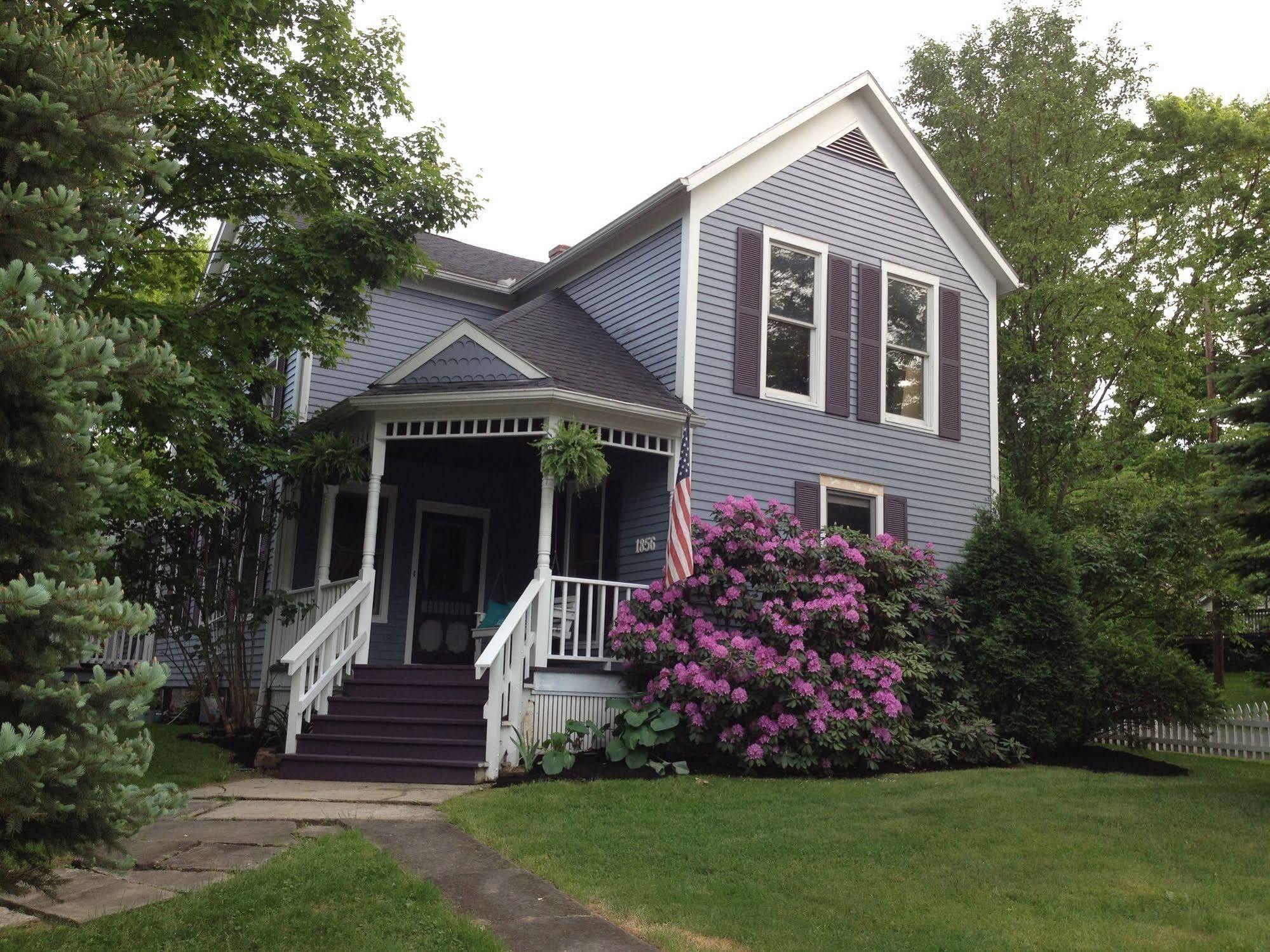 Silver Fern Bed And Breakfast Peninsula Exterior photo